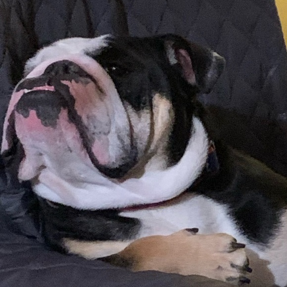 Meet your Posher, Heidi - Picture 1 of 1